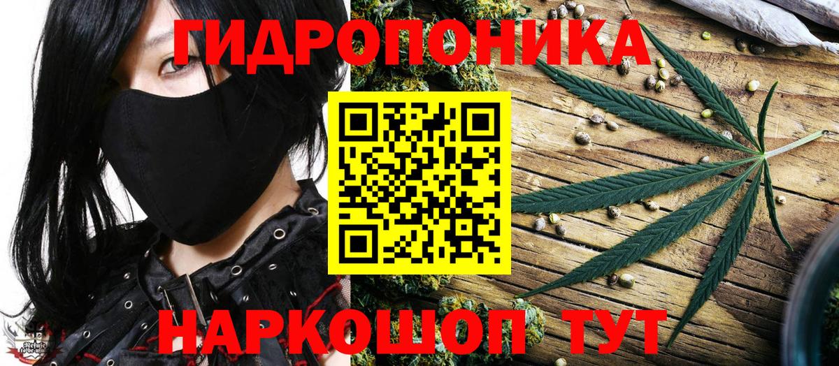 Шишки марихуана Ganja  Конопля план  Вход с VPN  Каннабис конопля  Реутов 